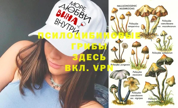 кокс Алексеевка