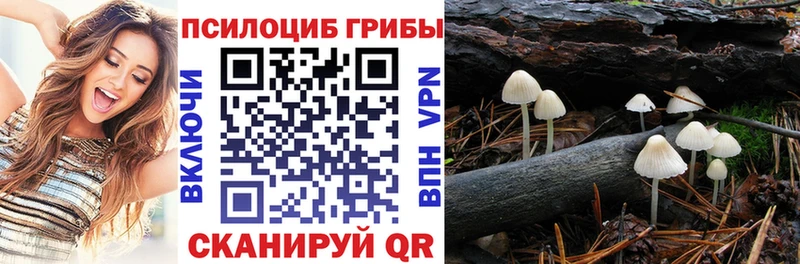 Галлюциногенные грибы GOLDEN TEACHER  Тында 